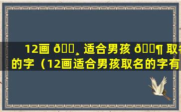 12画 🌸 适合男孩 🐶 取名的字（12画适合男孩取名的字有哪些）